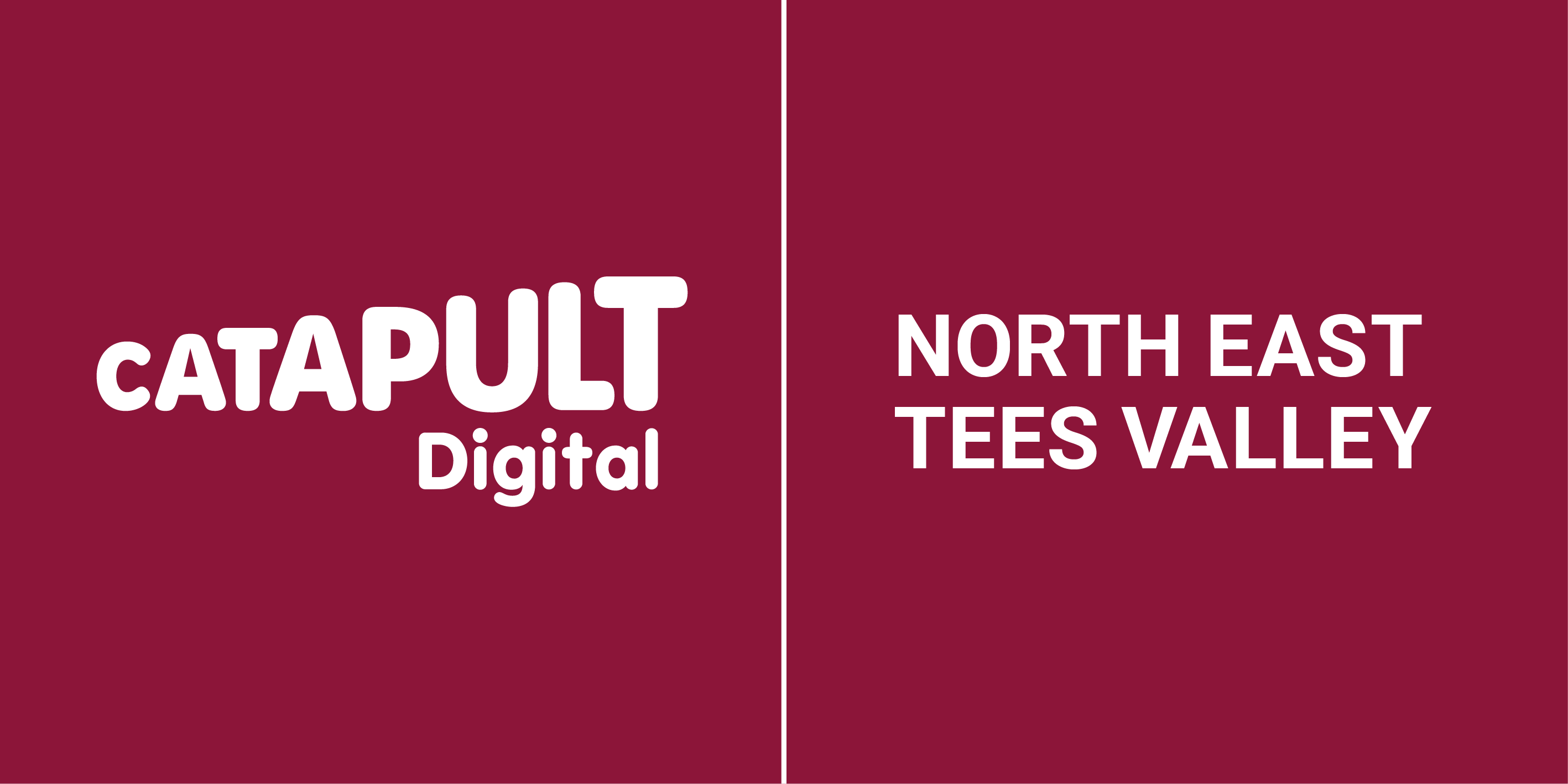 Digital Catapult North East Tees Valley (NETV)